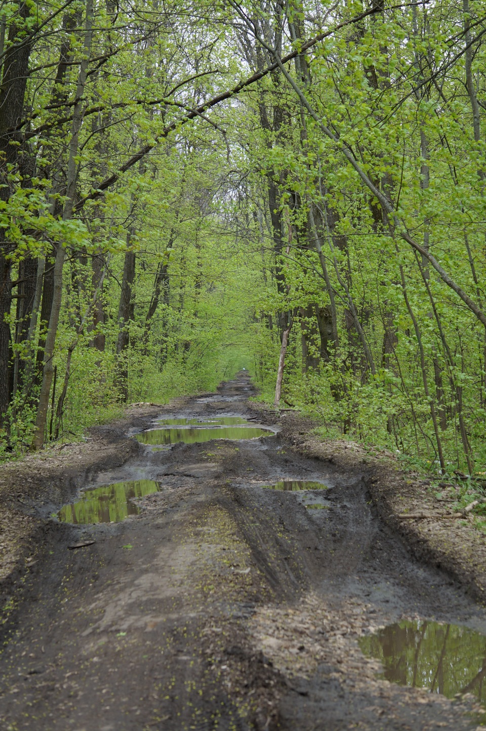 Фото в бортжурнале Volkswagen Passat Variant (B5)