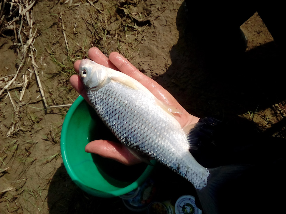 Поездка на рыбалку в Астрахань. Часть 2-я. — KIA Rio (3G), 1,6 л, 2012 ...