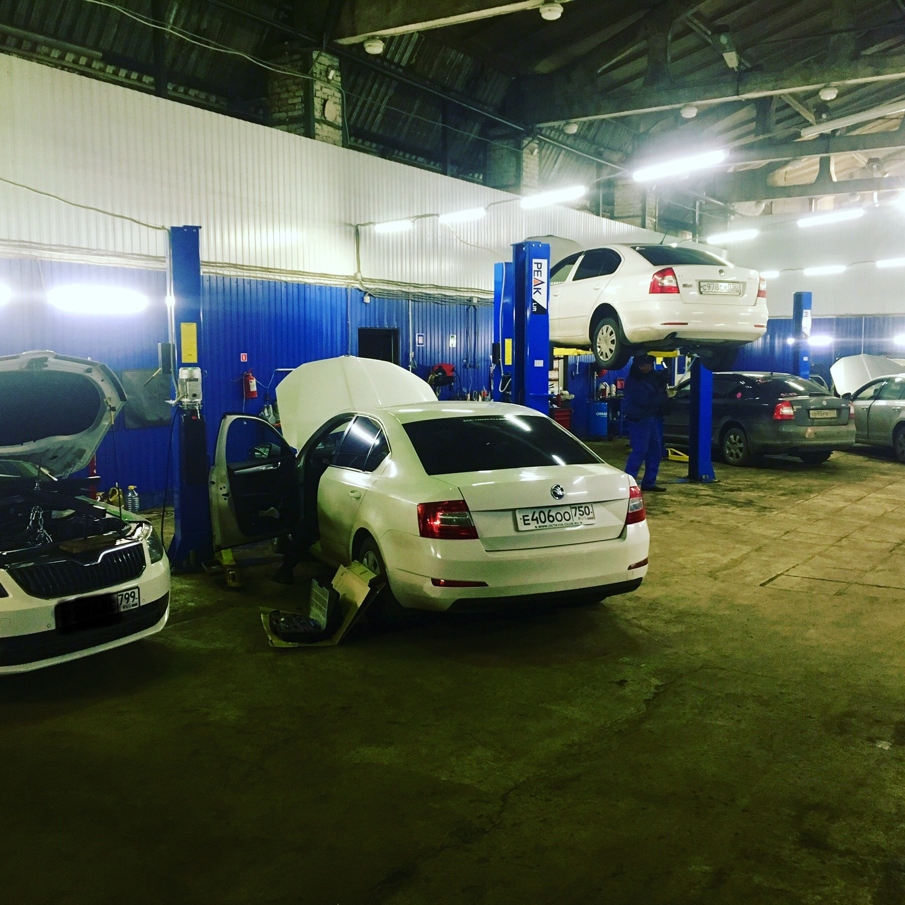 ������� ���� ���