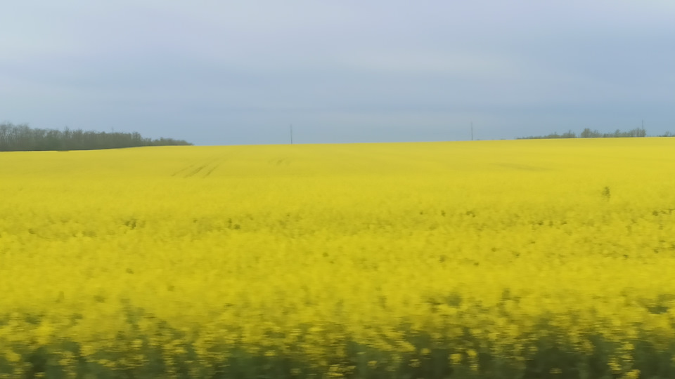 Ставрополье — Mitsubishi Pajero (4G)