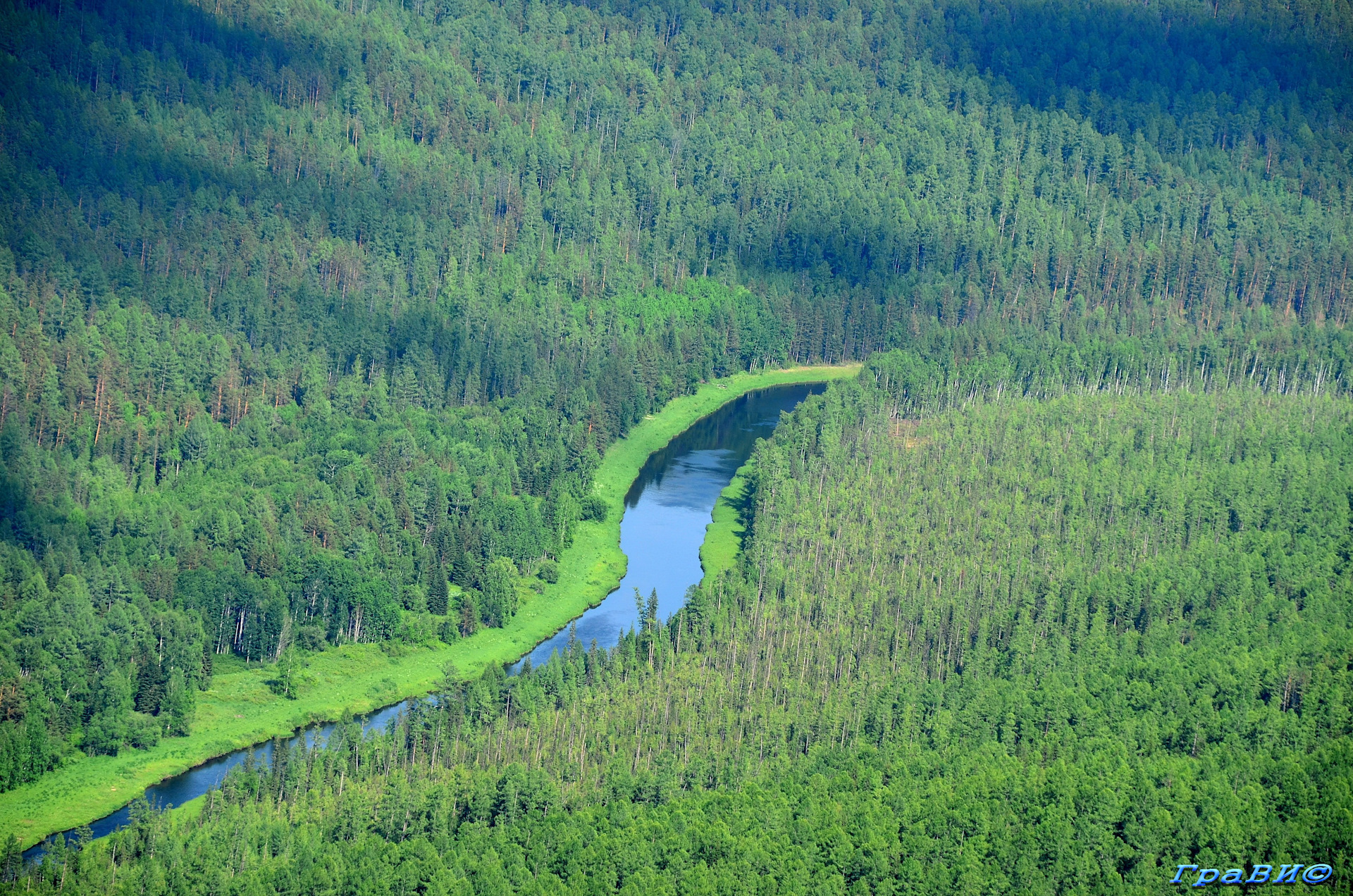 Лес Иркутской области