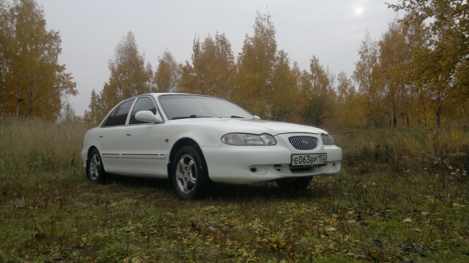 Вот и осень — Hyundai Sonata III (Y3), 2 л, 1998 года | мойка | DRIVE2