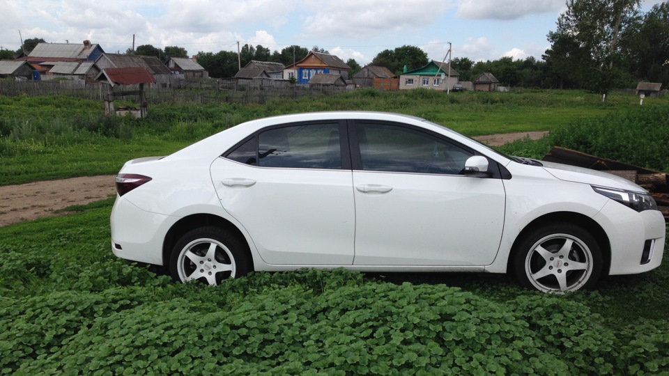 Белая после фото. Slik Toyota Corolla. Тойота Королла 020. Toyota Corolla диски slik. Белая Тойота Королла с белыми дисками.