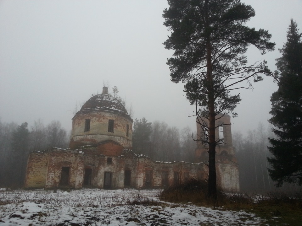 Урочище Илкодино Шатурский район