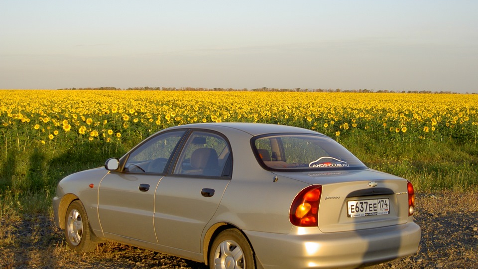 шевроле ланос 2008