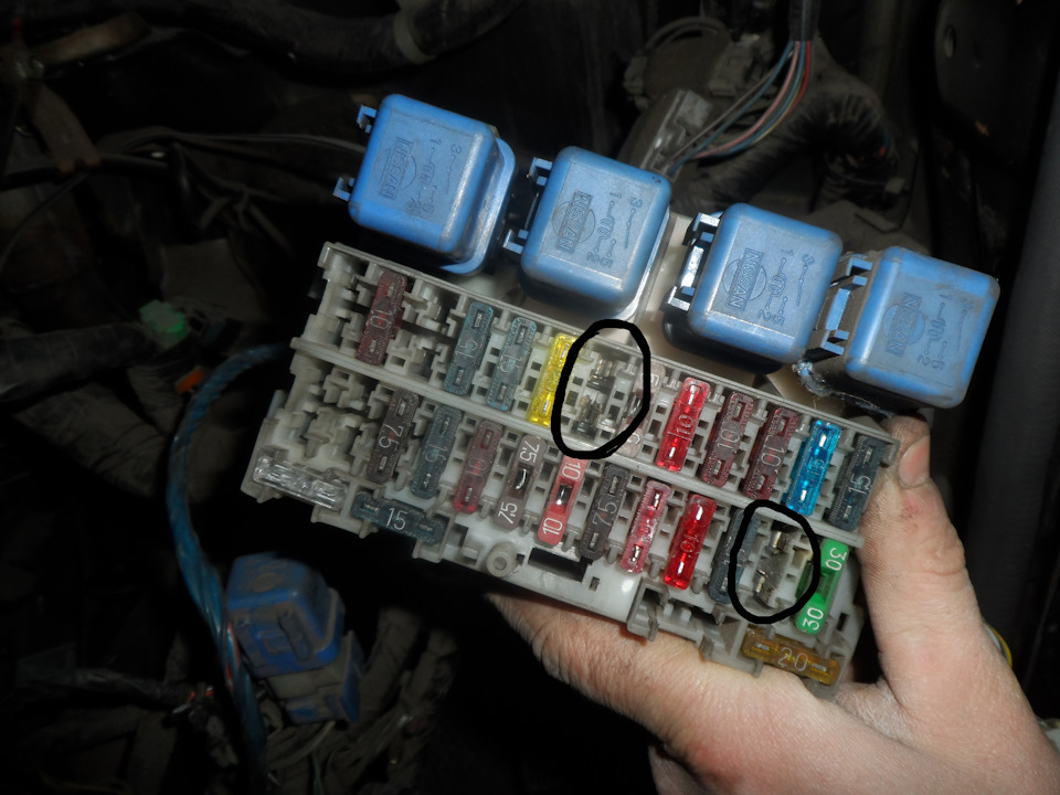 Прошу помощи. — Nissan Serena Mk I (C23), 2 л, 1993 года | электроника ...