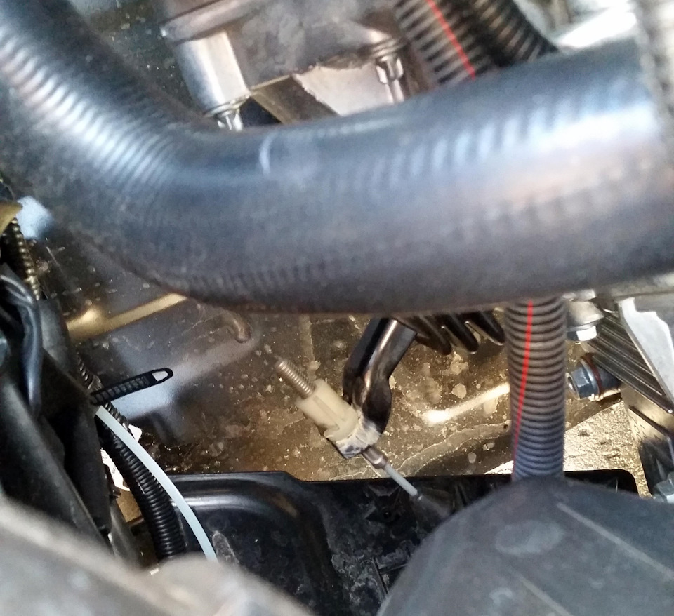 Что находится под капотом гранты. Смотреть фото Что находится под капотом гранты. Смотреть картинку Что находится под капотом гранты. Картинка про Что находится под капотом гранты. Фото Что находится под капотом гранты Что находится под капотом гранты. Смотреть фото Что находится под капотом гранты. Смотреть картинку Что находится под капотом гранты. Картинка про Что находится под капотом гранты. Фото Что находится под капотом гранты