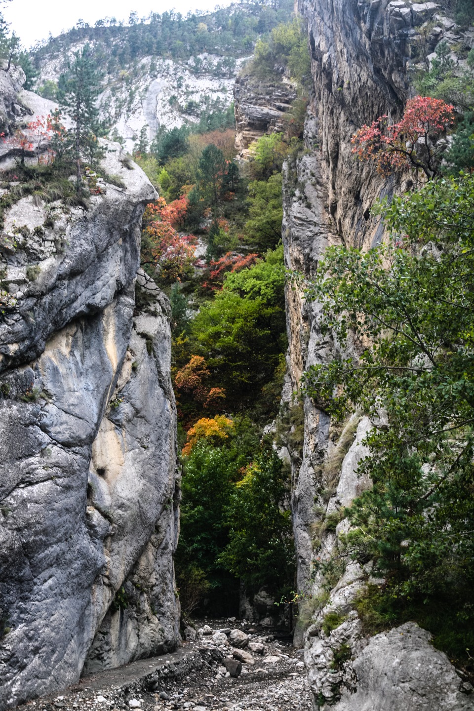 Карадах. Карадам. Карады. Карада.