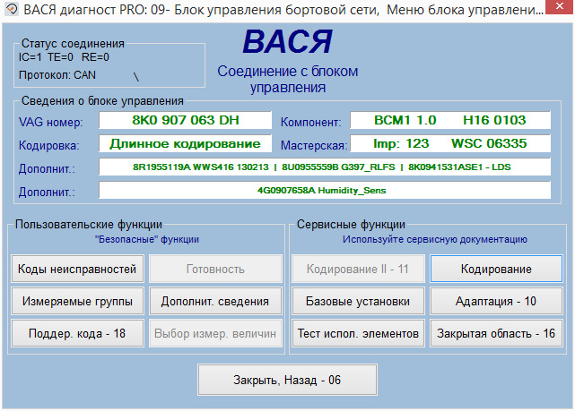 Вася диагност центральный замок