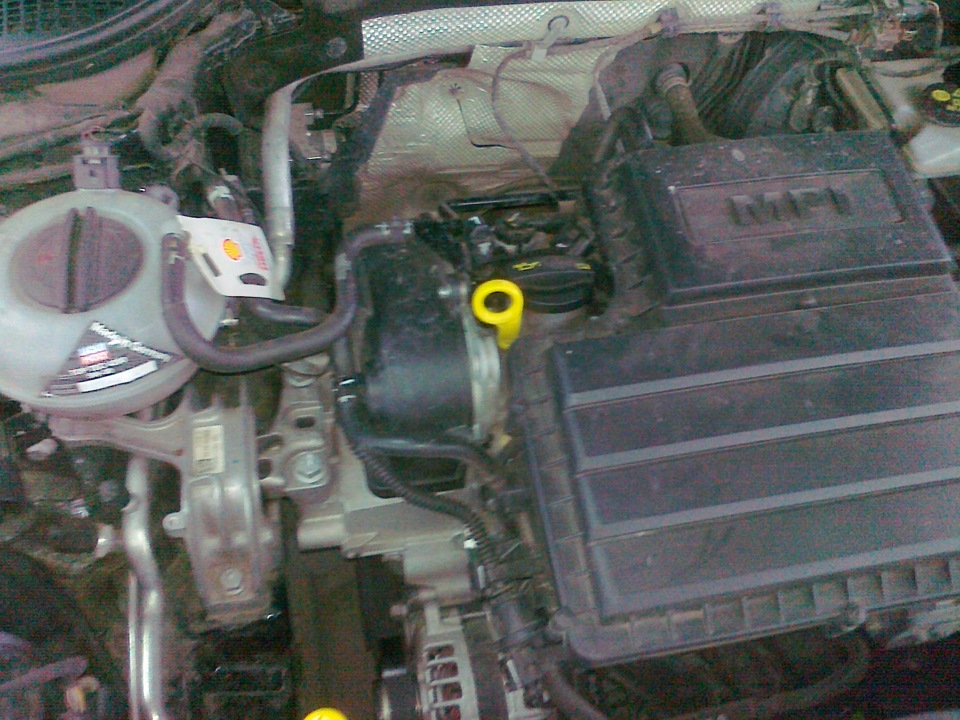 Фото в бортжурнале Skoda Octavia A7 Mk3