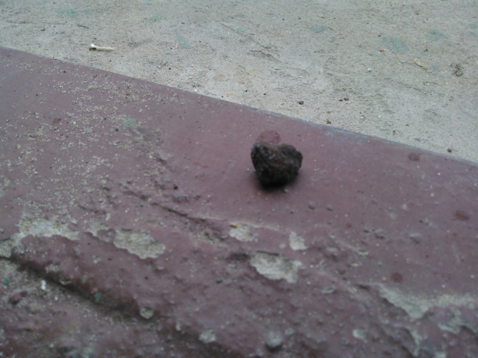 15. Цокот в тормозном диске ?! — Honda Civic 4D (8G), 1,8 л, 2008 года ...