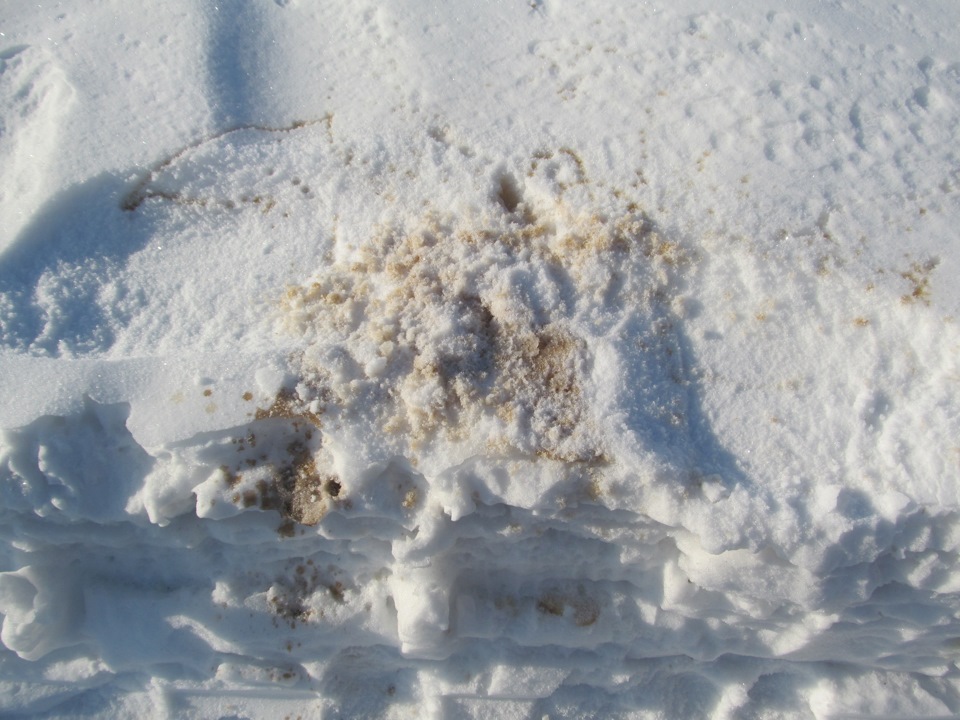 Замена Тосола — Lada 2107, 1,7 л, 1990 года | своими руками | DRIVE2