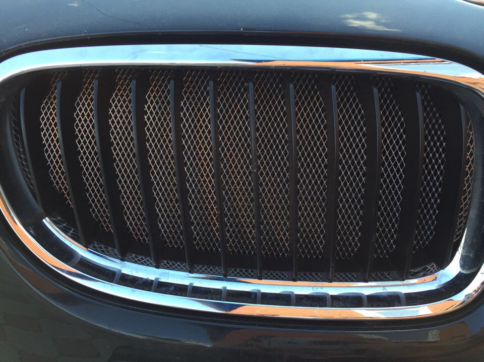 Сетка в ноздри — BMW 3 series (E90), 2 л, 2011 года | тюнинг | DRIVE2