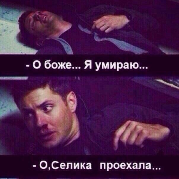 Боже я не хочу умирать мем Мемы, картинки, цитаты, юмор про Селику - Toyota Celica (200), 2 л, 1996 года фо