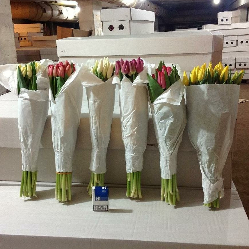 Тюльпаны на хранении в холодильнике. Где и как хранить тюльпаны. Коробка с тюльпанами. Где и как хранить тюльпаны. Свежесрезанные тюльпаны.