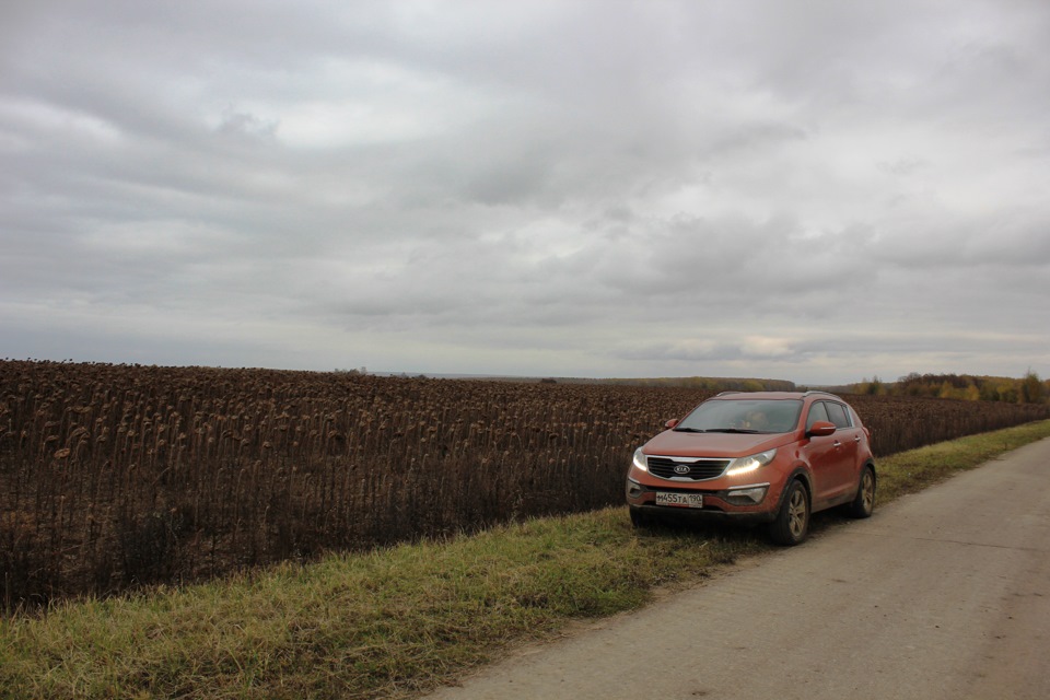 Фото в бортжурнале KIA Sportage (3G)