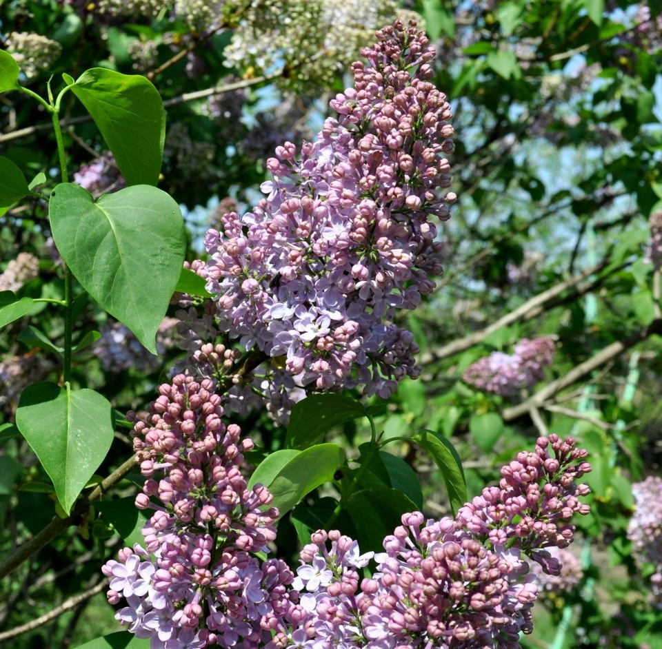 Выдуманная реальность… — DRIVE2