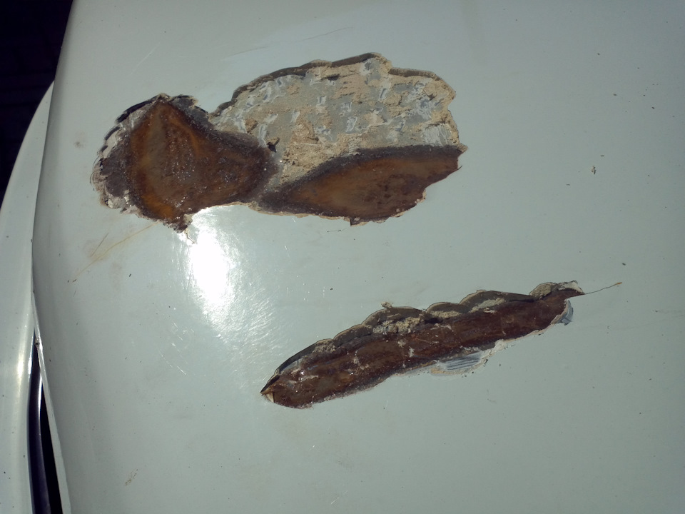 Фото в бортжурнале Москвич 2141