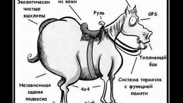 Старая борозда поговорка. Старая лошадь борозды не испортит. Конь в борозде. Старый конь борозды не испортит прикол. Борозда у лошади.