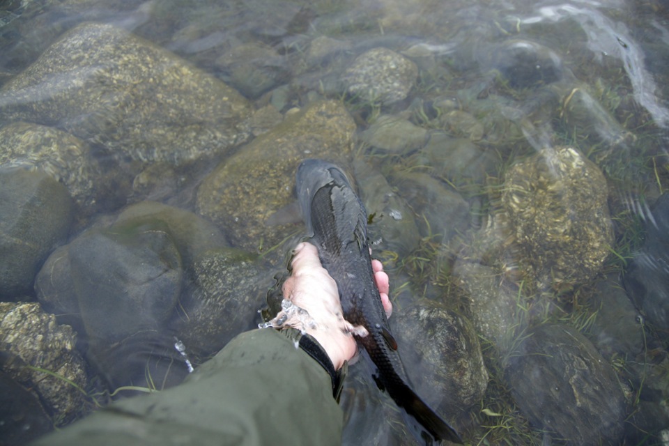 ΡΡΠ±Π° Π² ΡΠ΅ΠΊΠ°Ρ
ΠΌΠΎΠ½Π³ΠΎΠ»ΠΈΠΈ. Π‘ΠΌΠΎΡΡΠ΅ΡΡ ΡΠΎΡΠΎ ΡΡΠ±Π° Π² ΡΠ΅ΠΊΠ°Ρ
ΠΌΠΎΠ½Π³ΠΎΠ»ΠΈΠΈ. Π‘ΠΌΠΎΡΡΠ΅ΡΡ ΠΊΠ°ΡΡΠΈΠ½ΠΊΡ ΡΡΠ±Π° Π² ΡΠ΅ΠΊΠ°Ρ
ΠΌΠΎΠ½Π³ΠΎΠ»ΠΈΠΈ. ΠΠ°ΡΡΠΈΠ½ΠΊΠ° ΠΏΡΠΎ ΡΡΠ±Π° Π² ΡΠ΅ΠΊΠ°Ρ
ΠΌΠΎΠ½Π³ΠΎΠ»ΠΈΠΈ. Π€ΠΎΡΠΎ ΡΡΠ±Π° Π² ΡΠ΅ΠΊΠ°Ρ
ΠΌΠΎΠ½Π³ΠΎΠ»ΠΈΠΈ ΡΡΠ±Π° Π² ΡΠ΅ΠΊΠ°Ρ
ΠΌΠΎΠ½Π³ΠΎΠ»ΠΈΠΈ. Π‘ΠΌΠΎΡΡΠ΅ΡΡ ΡΠΎΡΠΎ ΡΡΠ±Π° Π² ΡΠ΅ΠΊΠ°Ρ
ΠΌΠΎΠ½Π³ΠΎΠ»ΠΈΠΈ. Π‘ΠΌΠΎΡΡΠ΅ΡΡ ΠΊΠ°ΡΡΠΈΠ½ΠΊΡ ΡΡΠ±Π° Π² ΡΠ΅ΠΊΠ°Ρ
ΠΌΠΎΠ½Π³ΠΎΠ»ΠΈΠΈ. ΠΠ°ΡΡΠΈΠ½ΠΊΠ° ΠΏΡΠΎ ΡΡΠ±Π° Π² ΡΠ΅ΠΊΠ°Ρ
ΠΌΠΎΠ½Π³ΠΎΠ»ΠΈΠΈ. Π€ΠΎΡΠΎ ΡΡΠ±Π° Π² ΡΠ΅ΠΊΠ°Ρ
ΠΌΠΎΠ½Π³ΠΎΠ»ΠΈΠΈ