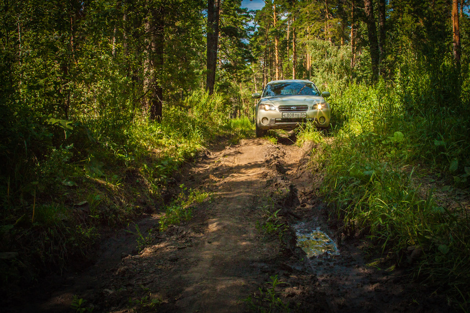 Караканский бор — Subaru Outback (BP), 3 л, 2003 года | фотография | DRIVE2