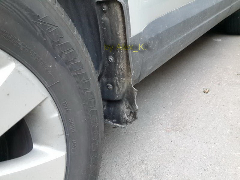 Кошки под капотом. Чем это грозит и как от них избавиться. — Volkswagen ...