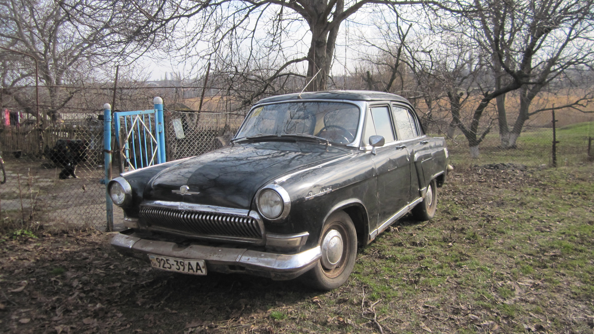 ГАЗ 21 2.4 бензиновый 1960 | Моя эротическая фантазия на DRIVE2