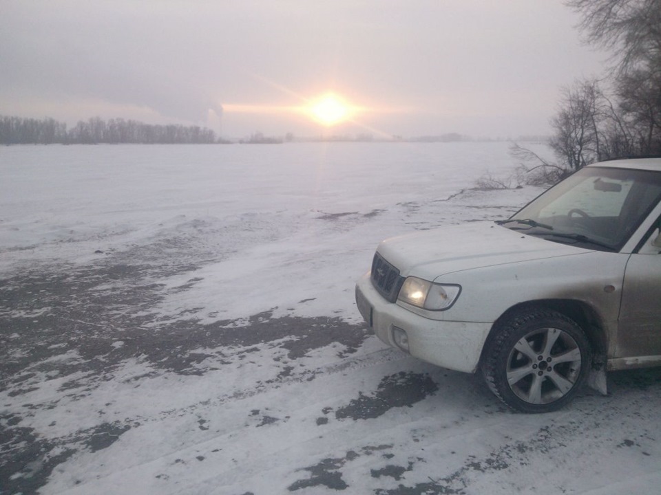 выгулял форестера — Subaru Forester (SF), 2 л, 2000 года | фотография ...
