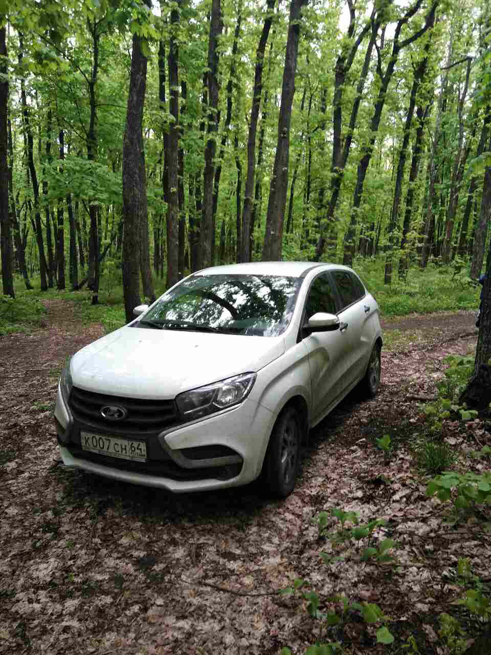 Лес, зелёный и грязный лес! — Lada XRAY, 1,8 л, 2016 года | фотография |  DRIVE2