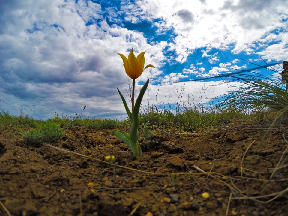 Дорога в Оренбург! — Daewoo Nexia (N150), 1,5 л, 2011 года | покатушки ...