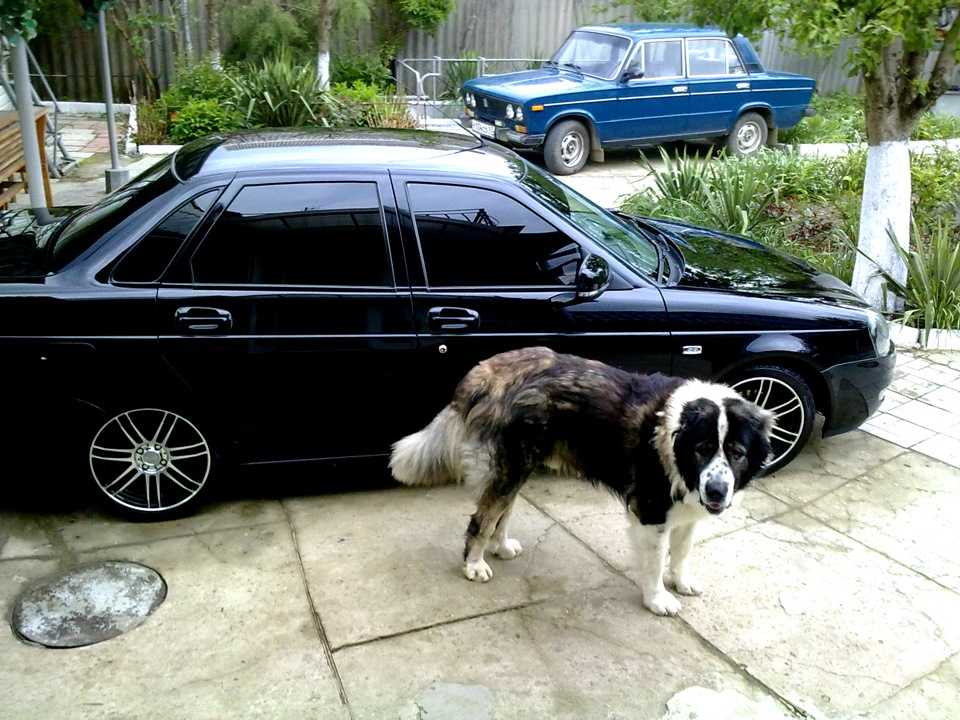 Special Edition — Lada Приора седан, 1,6 л, 2010 года | фотография | DRIVE2