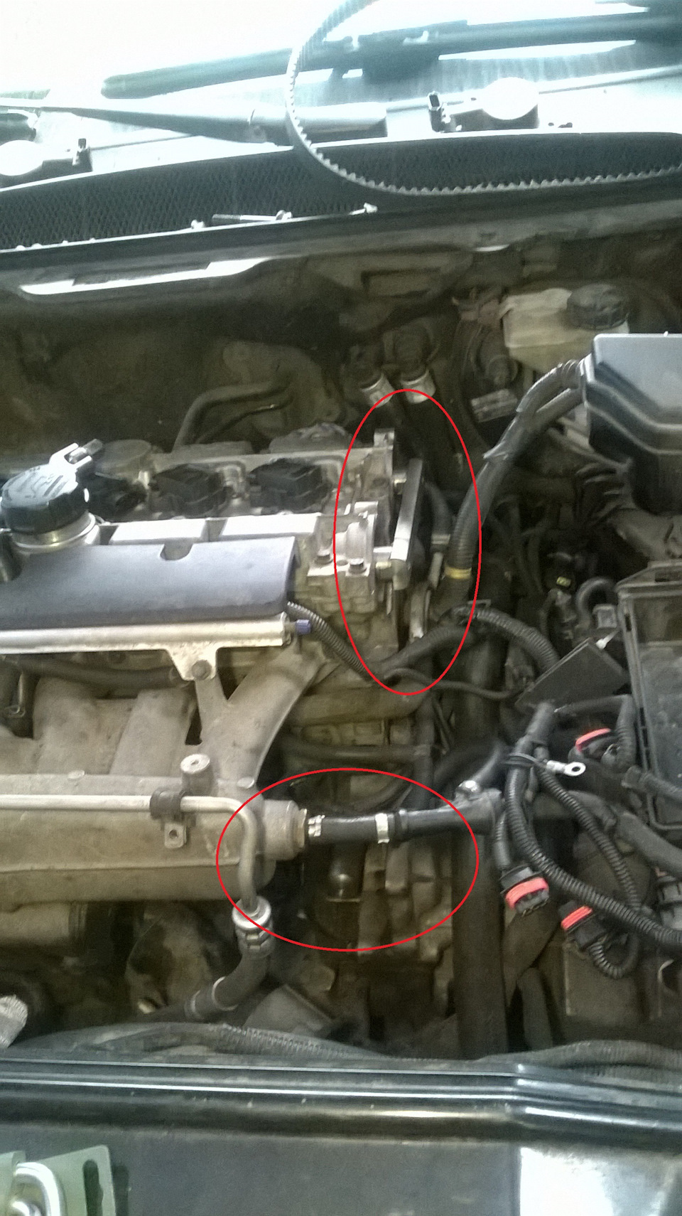 Регулировка ГРМ (борьба с масложором, сниженной динамикой и пинками ...