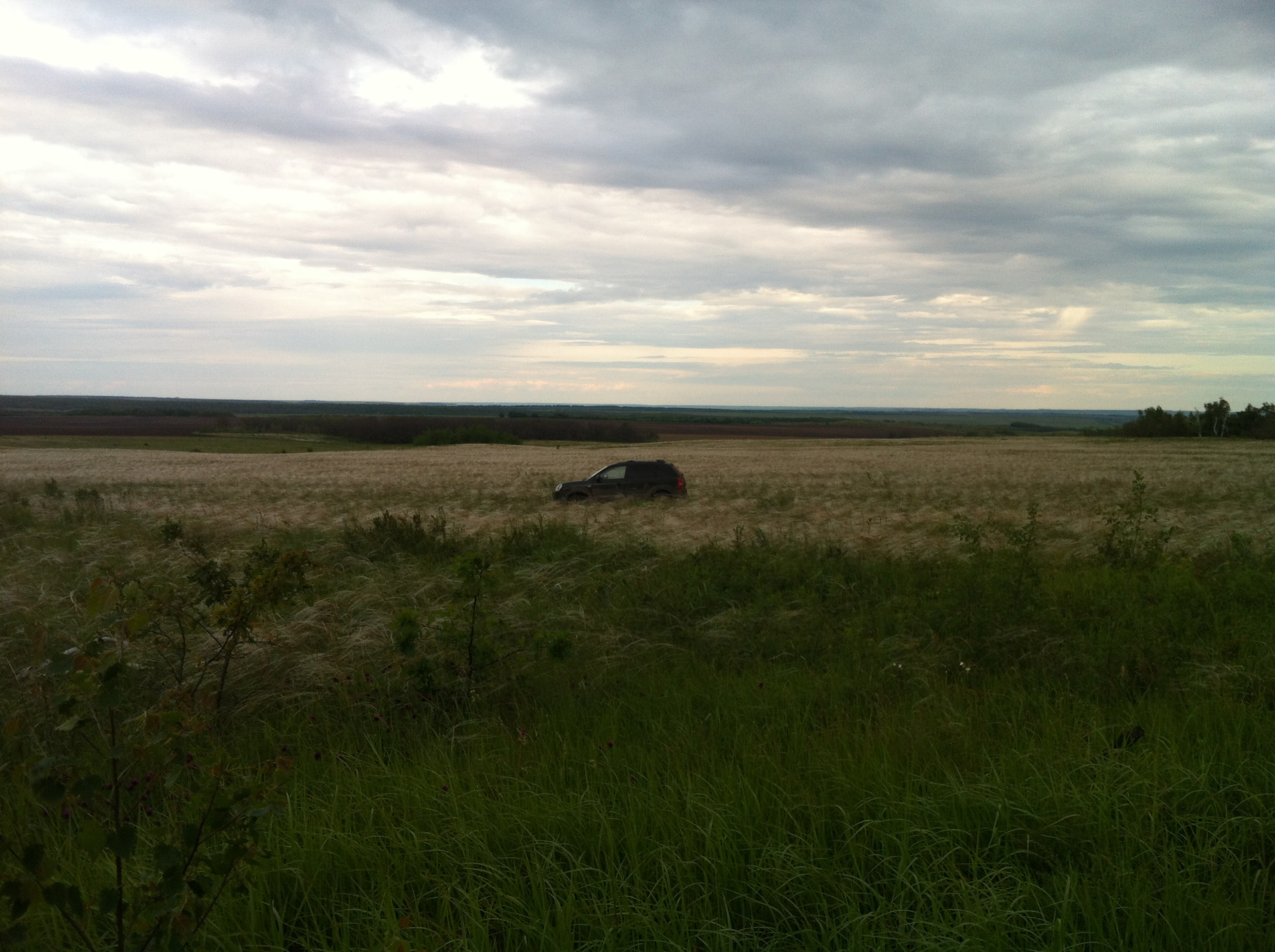 Село гряда. Усть-Медведицкая гора. Лиман Медведицкий. Медведицкий Анатолий точечный. Березовка Медведицкое.