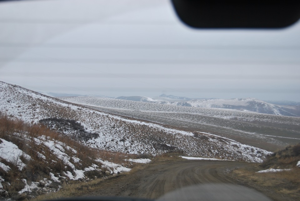 Алейск барнаул фото