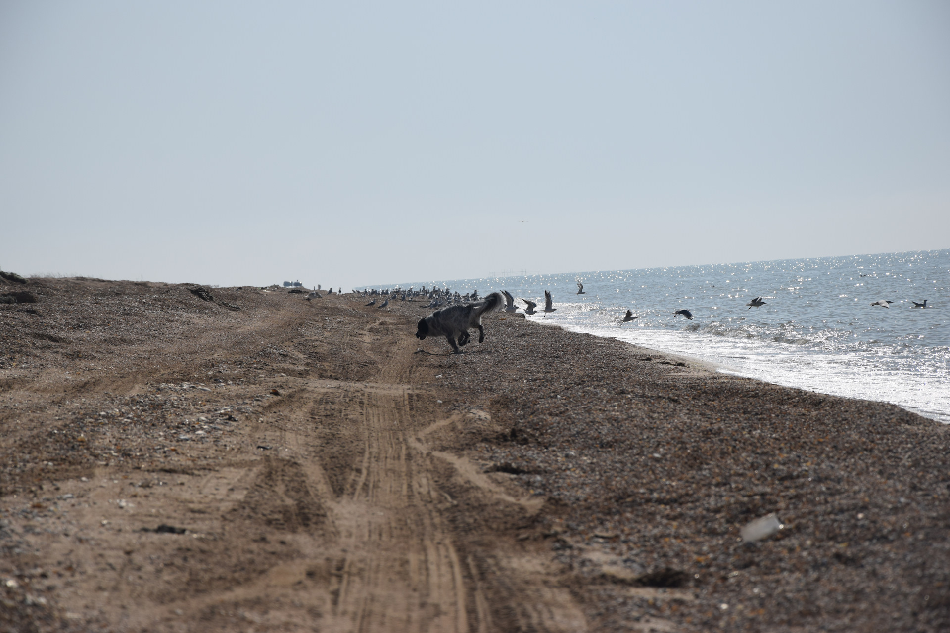 граница черного и азовского моря