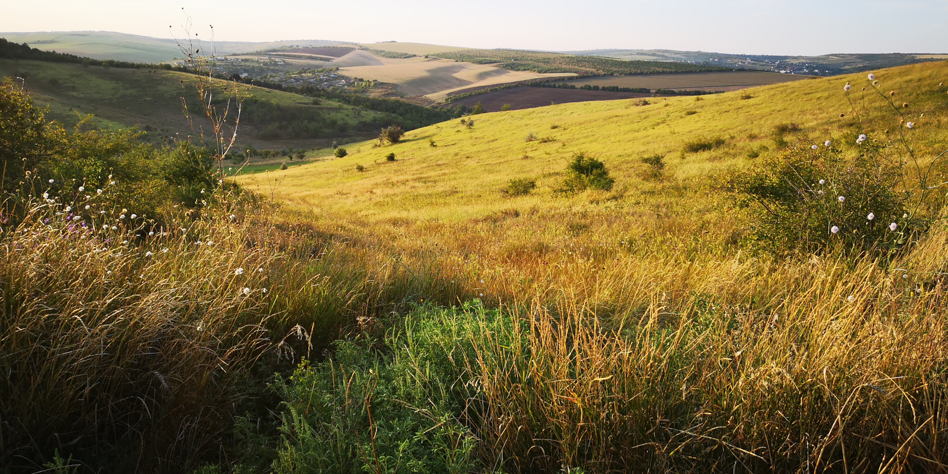 Проходимость УАЗа. Таинственный лес. — УАЗ 31519, 2,9 л, 1997 года ...