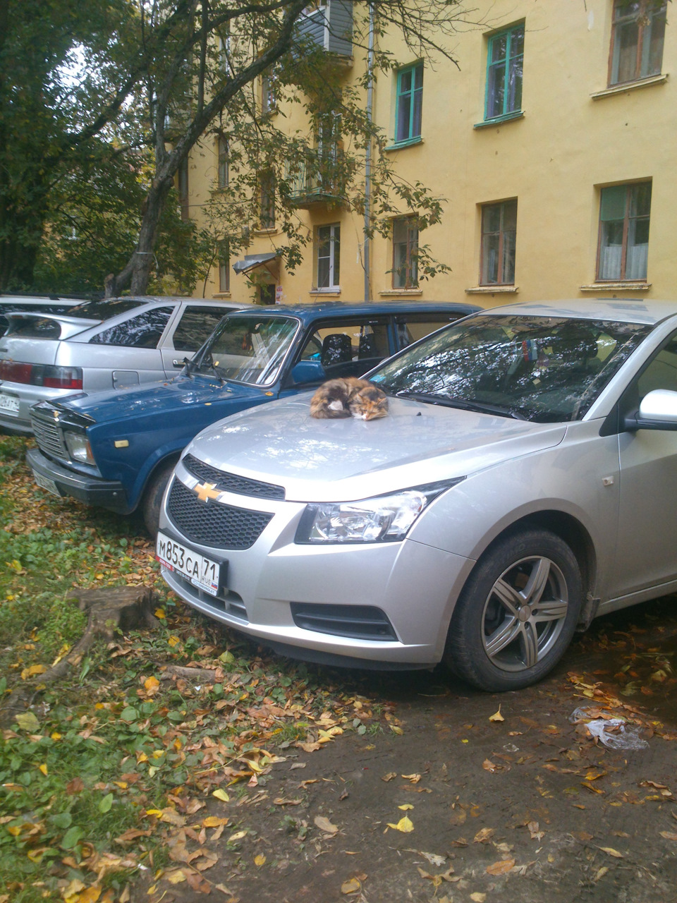 На машину упало дерево. Кто виноват и что делать? — Mitsubishi Lancer IX, 2  л, 2006 года | другое | DRIVE2