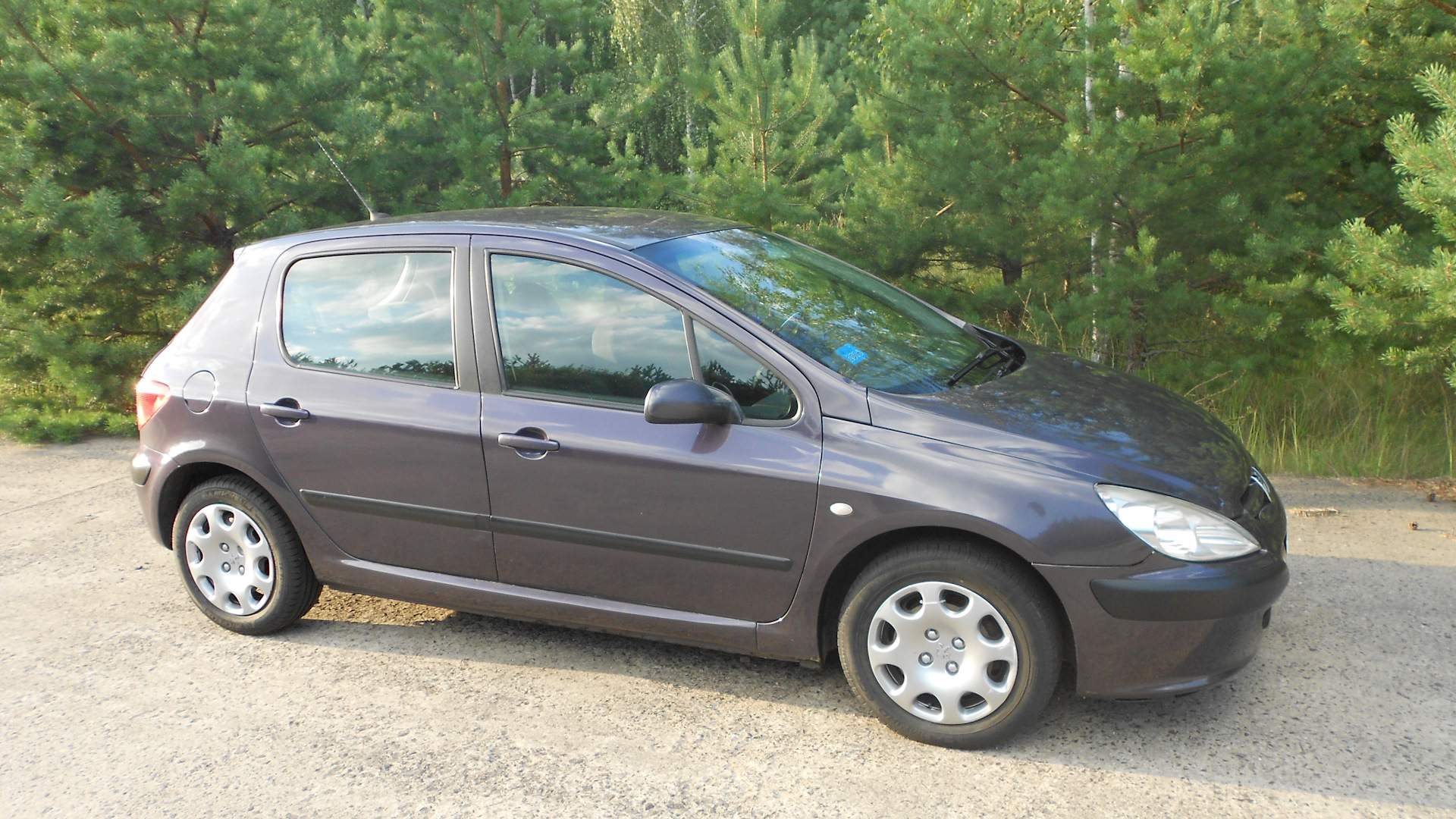 Peugeot 307 1.6 бензиновый 2001 | Темный фиолет на DRIVE2