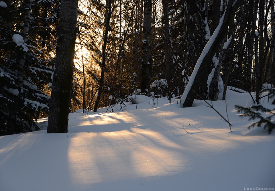 Зимняя температура в тайге. Фронтальный свет на деревьях в зимней тайге. Линии зимней тайги ночью возле дома.