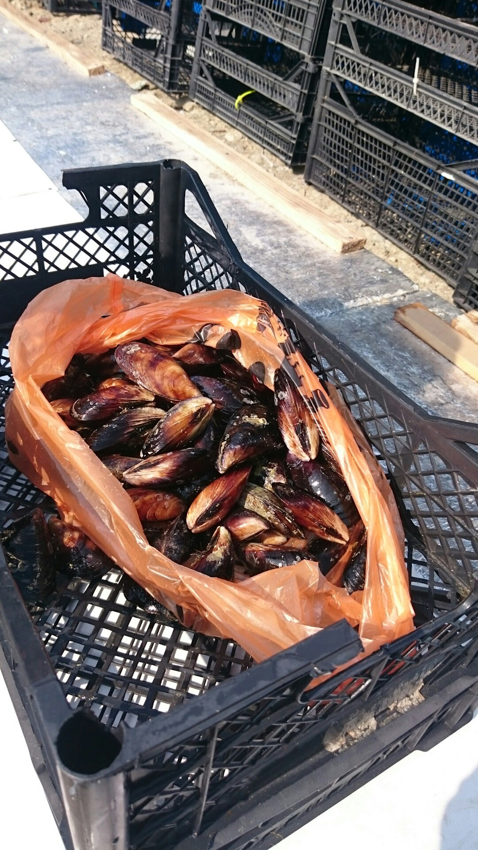 какая рыба ловится в озере абрау дюрсо. Смотреть фото какая рыба ловится в озере абрау дюрсо. Смотреть картинку какая рыба ловится в озере абрау дюрсо. Картинка про какая рыба ловится в озере абрау дюрсо. Фото какая рыба ловится в озере абрау дюрсо какая рыба ловится в озере абрау дюрсо. Смотреть фото какая рыба ловится в озере абрау дюрсо. Смотреть картинку какая рыба ловится в озере абрау дюрсо. Картинка про какая рыба ловится в озере абрау дюрсо. Фото какая рыба ловится в озере абрау дюрсо