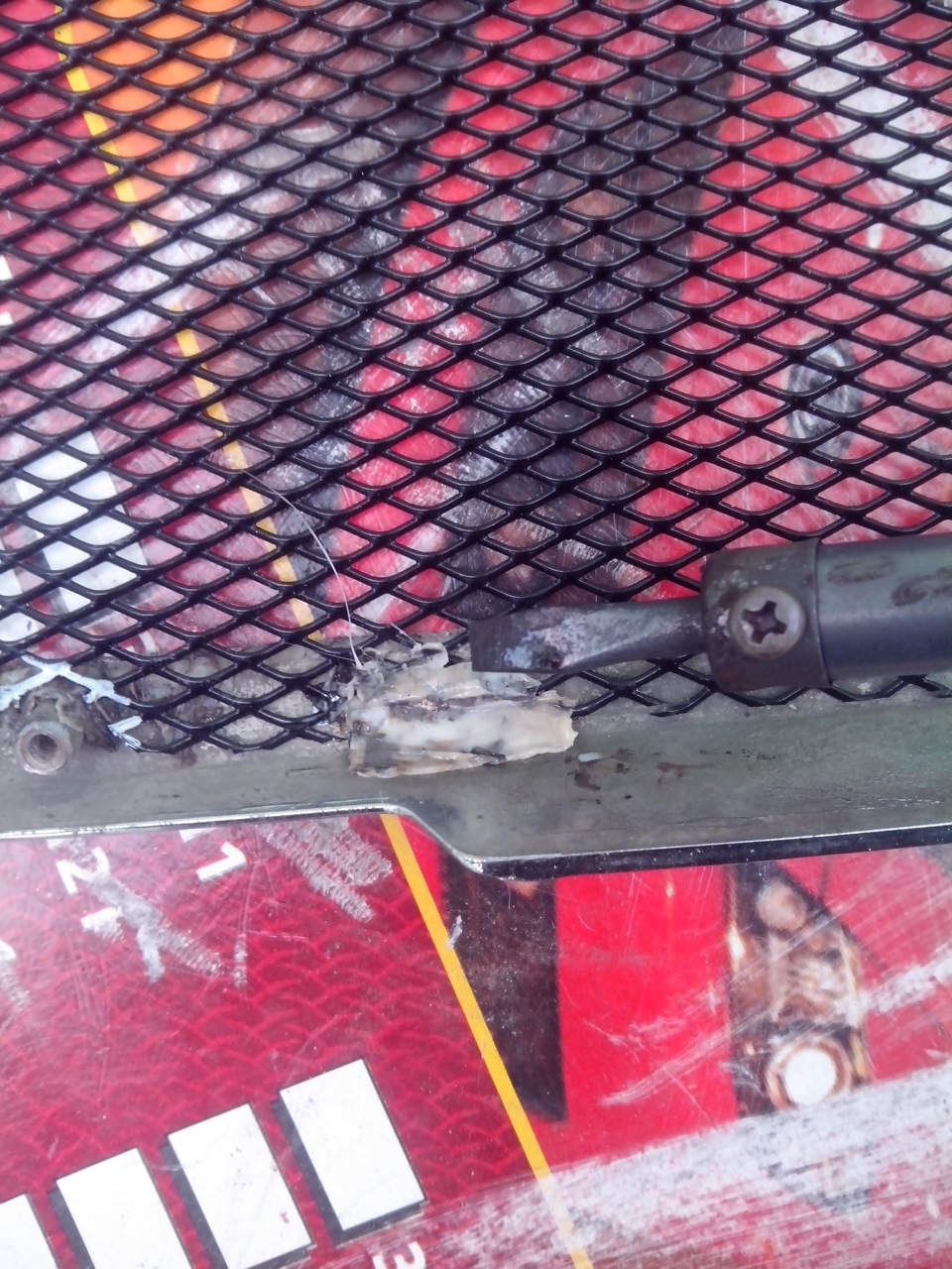 Сетка в решетку радиатора! — Hyundai Accent (3G), 1,5 л., 2006 года ...