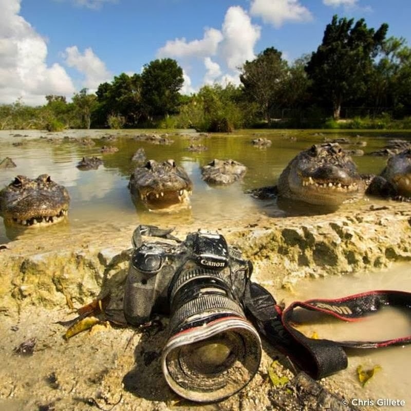 Мемы про фотографов