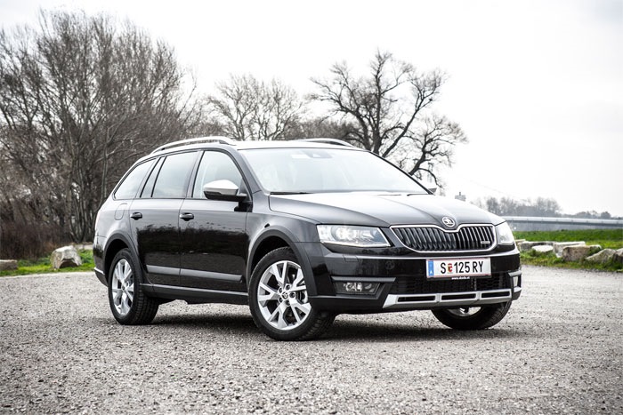 Краска — Сообщество «Skoda Octavia Club» на DRIVE2