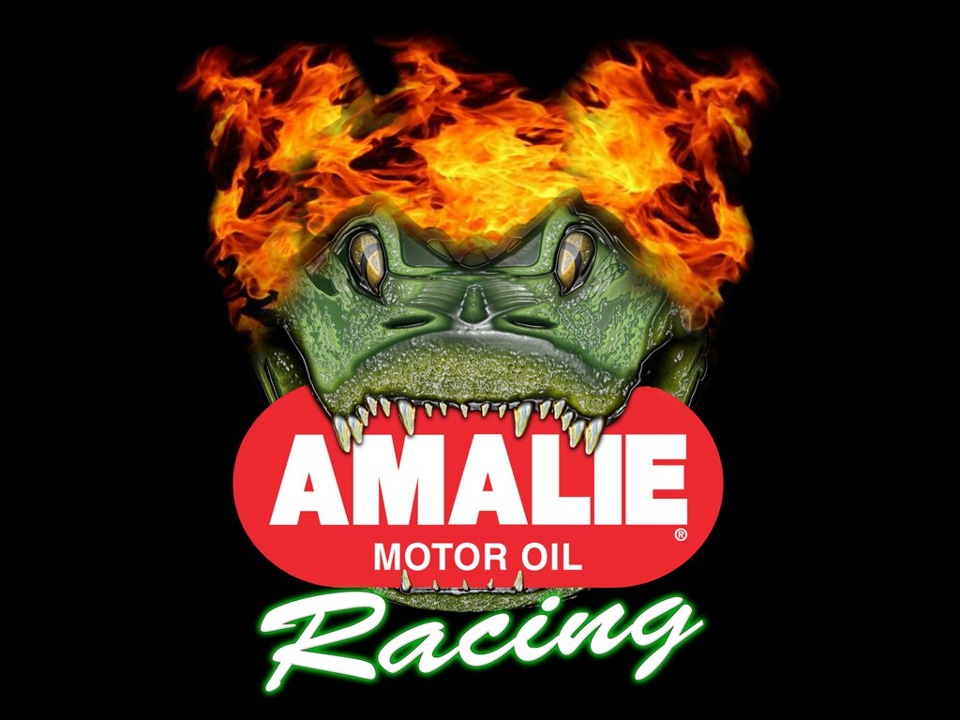 ГОТОВ ПРЕДЛОЖИТЬ масло AMALIE PRO High Performance — BMW Z3, 2,8 л ...