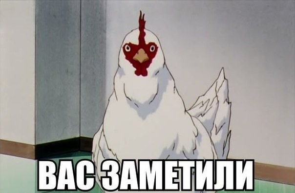Вас заметили мем