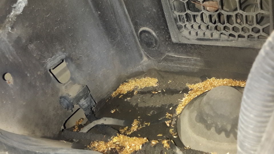 Фото в бортжурнале Volkswagen Multivan (T5)