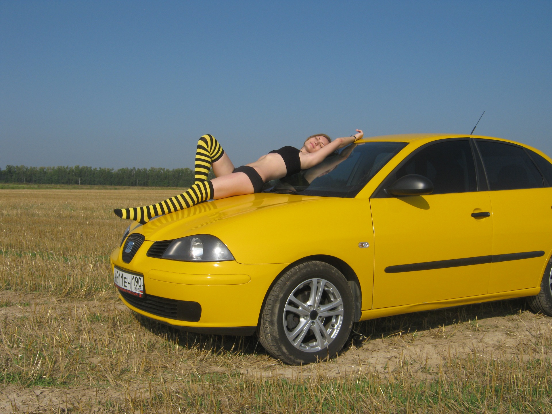 не порно, но мило и задорно:) — SEAT Ibiza (6L), 1,4 л, 2004 года |  фотография | DRIVE2