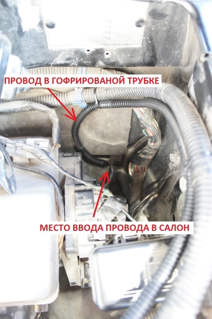 Фото в бортжурнале Mitsubishi Pajero (4G)