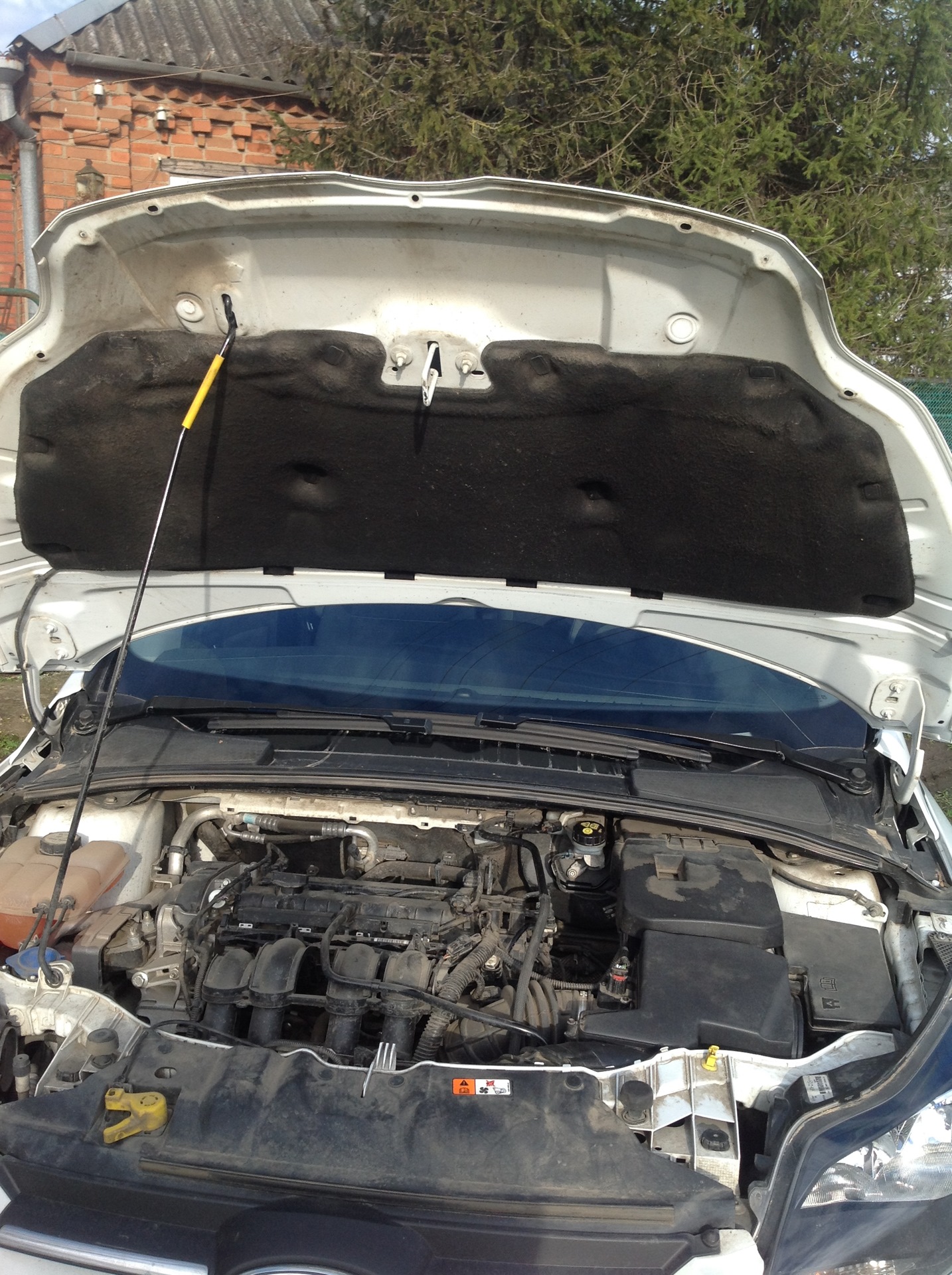 Заводская бесшумка — Ford Focus Hatchback III, 1,6 л, 2011 года ...