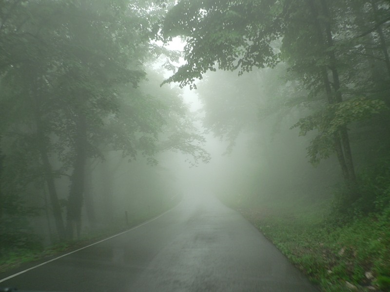 Видимо никуда. Дорога никуда. Дорога в никуда туман. Дорога в никуда фото. Фото дороги в даль в тумане.